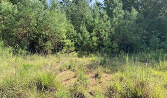 1258 Otis Paine Rd, Bethel Springs, TN 38315