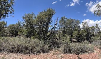 61 Colt Ct Ne4 Rd, Ash Fork, AZ 86320