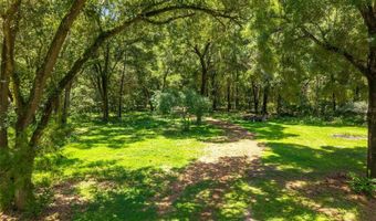 9013 SW 154TH St, Archer, FL 32618