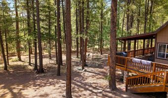 8 County Road 2083, Alpine, AZ 85920
