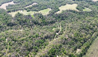 378 County Road 1219, Bardwell, KY 42023