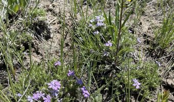 Tbd FISHERMAN CREEK / CHIPPEWAUGH Road, Bondurant, WY 82922