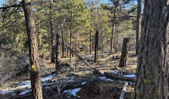 Golden Eagle Drive 30, Bonanza, OR 97623