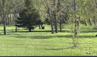 W9521 Dog Hollow Road, Argyle, WI 53504