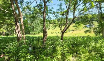 1604 Loafers Rest Rd, Austinville, VA 24312