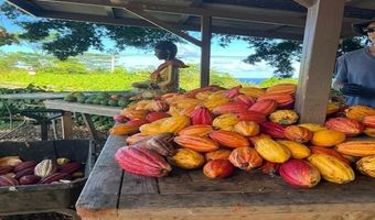 1600 Lower Nahiku Rd, Hana, HI 96713