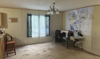 807 Collins Rd, Blaine, TN 37709