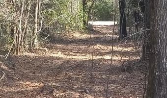 Tommy Tucker Road lot 5, Altha, FL 32421
