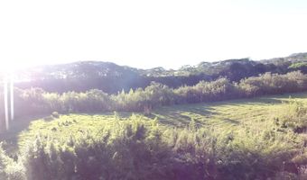 KAIWIKI HOMESTEAD RD, Hakalau, HI 96710