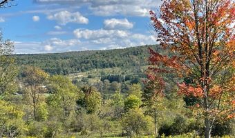 8302 Basswood Hill Rd, Alden, NY 14709