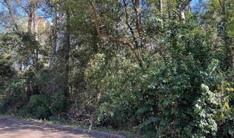 Berman St lot 11 1/2 & 12, Andalusia, AL 36421