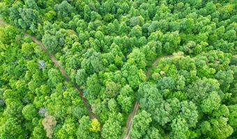 00 Coal Branch Rd, Beattyville, KY 41311