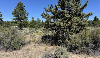 Bufflehead Drive 18, Bonanza, OR 97623