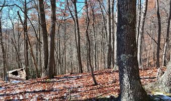 Nebo Mountain Rd. lot Multiple, Atkins, VA 24311