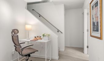 800 E Hopkins Ave A-3, Aspen, CO 81611