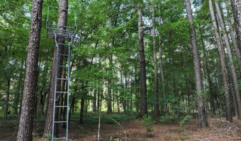 Highway 112, Abbeville, GA 31001