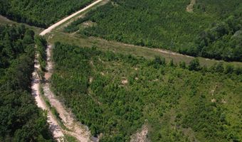 Tucker Road lot 11, Bath Springs, TN 38311