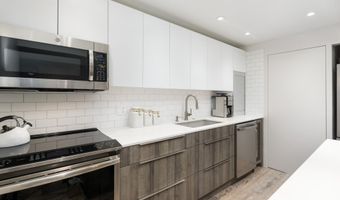 630 E Cooper Ave 2, Aspen, CO 81611
