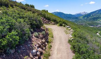 Trentaz Drive, Aspen, CO 81611