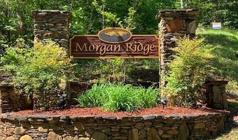 LOT 4 Morgan Ridge Drive, Young Harris, GA 30582