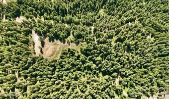1710 Tower Mountain Rd, Blanchard, ID 83804