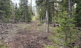 646 W Ski View Dr, Brian Head, UT 84719