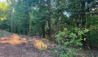 0 DAVIS ACRES Dr 72 & 73, Alpine, AL 35014