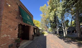 419 E Cooper Ave, Aspen, CO 81611