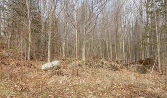 Burton Hill Road, Barton, VT 05822