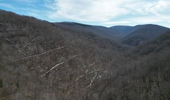 0 TBD Elleber Sods Rd, Bartow, WV 24920