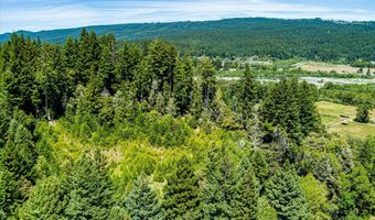 1540 Warren Creek Rd, Arcata, CA 95521