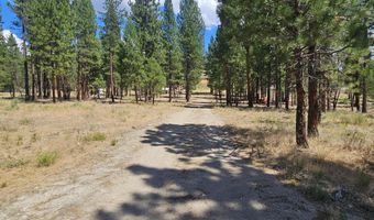 33005 Godowa Springs Rd, Beatty, OR 97621