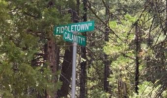 Railroad Flat Dr, Alturas, CA 96101