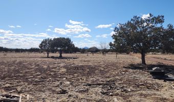 3597 Boone Trl, Ash Fork, AZ 86046