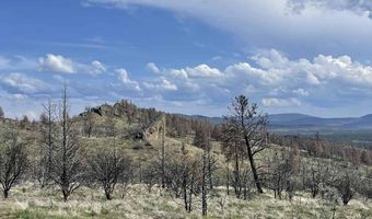 TL 01000 OFF Godowa Springs Road, Beatty, OR 97621