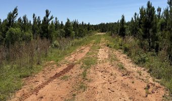county road 222, Abbeville, AL 36310