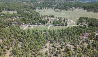 135 Meadow Ln, Bayfield, CO 81122