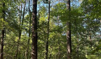 Lot 2B Gidsville Road, Amherst, VA 24521