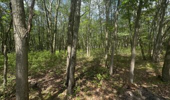 Seneca Trail, Albrightsville, PA 18210