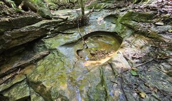 65 Acres Plainview Rd, Anderson, MO 64831