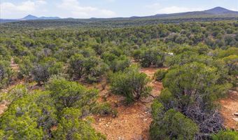 918 Wolf Rd, Ash Fork, AZ 86320
