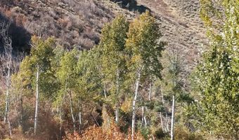 350 Broadford Rd, Bellevue, ID 83313