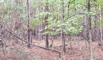 TBD Plowden Mill Road Tract D, Alcolu, SC 29001