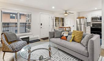 1020 E Durant Ave 203, Aspen, CO 81611
