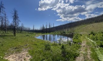 2493 Greer Rd, Bellvue, CO 80512