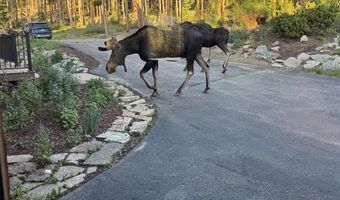 0146 CR 926, Breckenridge, CO 80424