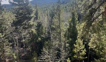 399 N Skinner Rd, Allenspark, CO 80510