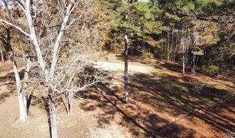 513 Rabbittown Rd, Albertville, AL 35950