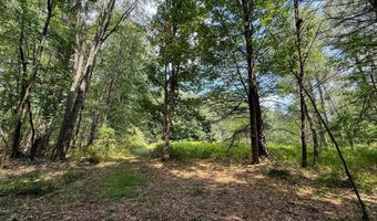 39 Acres N Pingree Rd, Alma, MI 48801