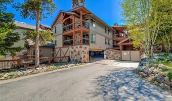 107 SKI WATCH Rd 432, Breckenridge, CO 80424